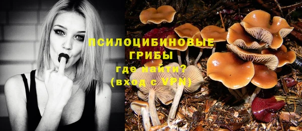 стафф Алзамай