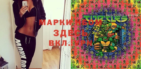 стафф Алзамай