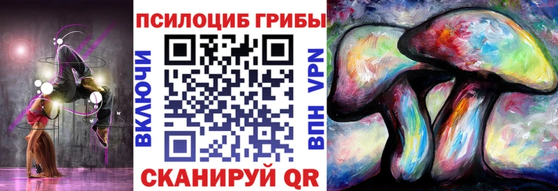 МЕГА ссылка  маркетплейс клад  Псилоцибиновые грибы Psilocybe  Орёл 