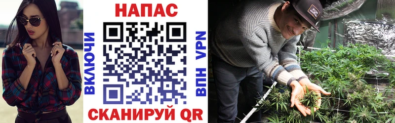 Бошки Шишки планчик  наркошоп  Орёл 